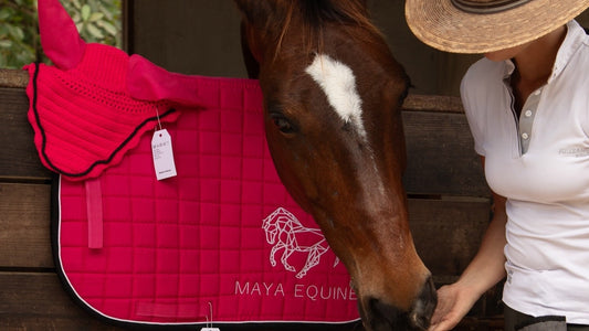 Orejeras Basic - Pink