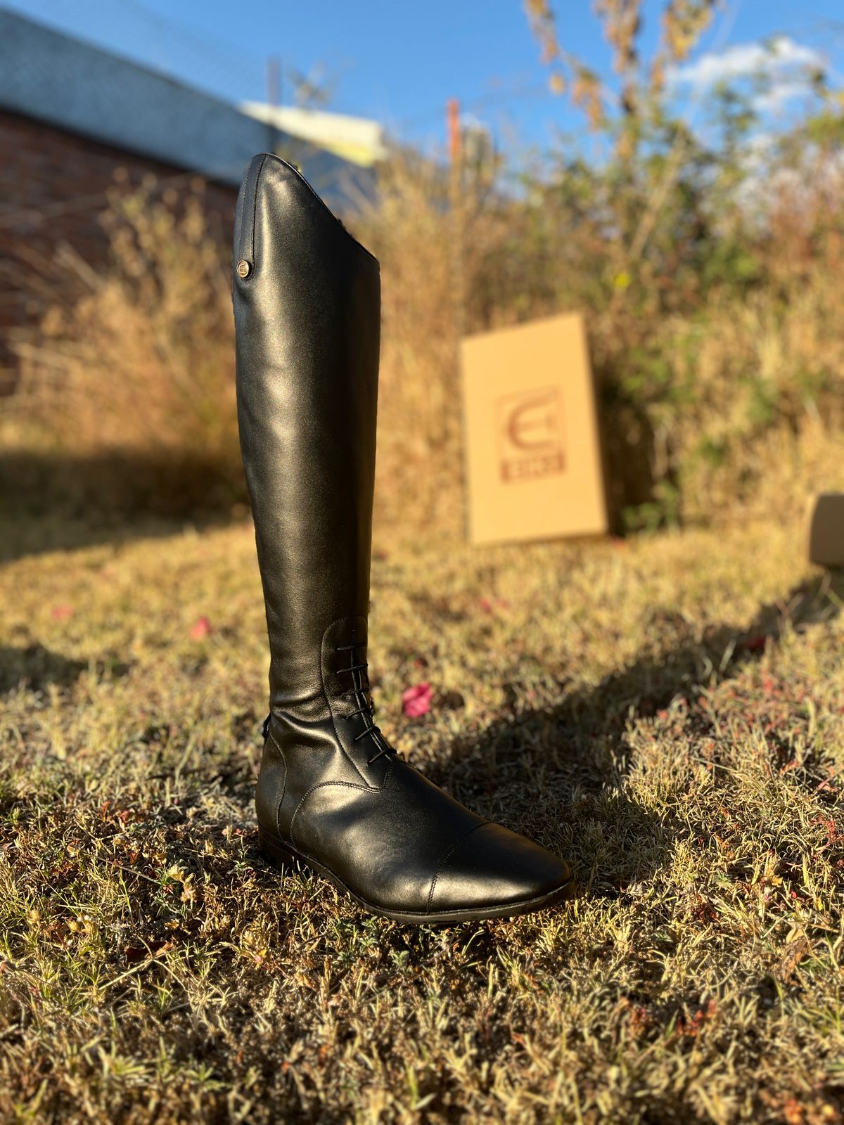 Bota de Equitación - Modelo "Gold Spike"