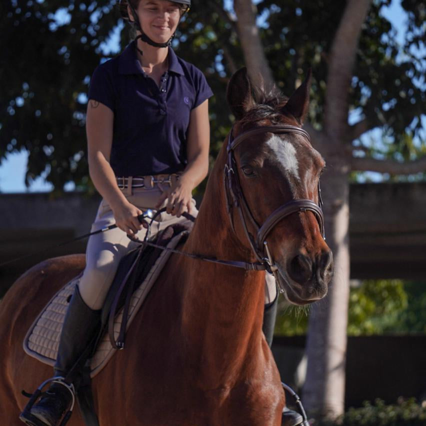 AMAZONA - Polo Classic