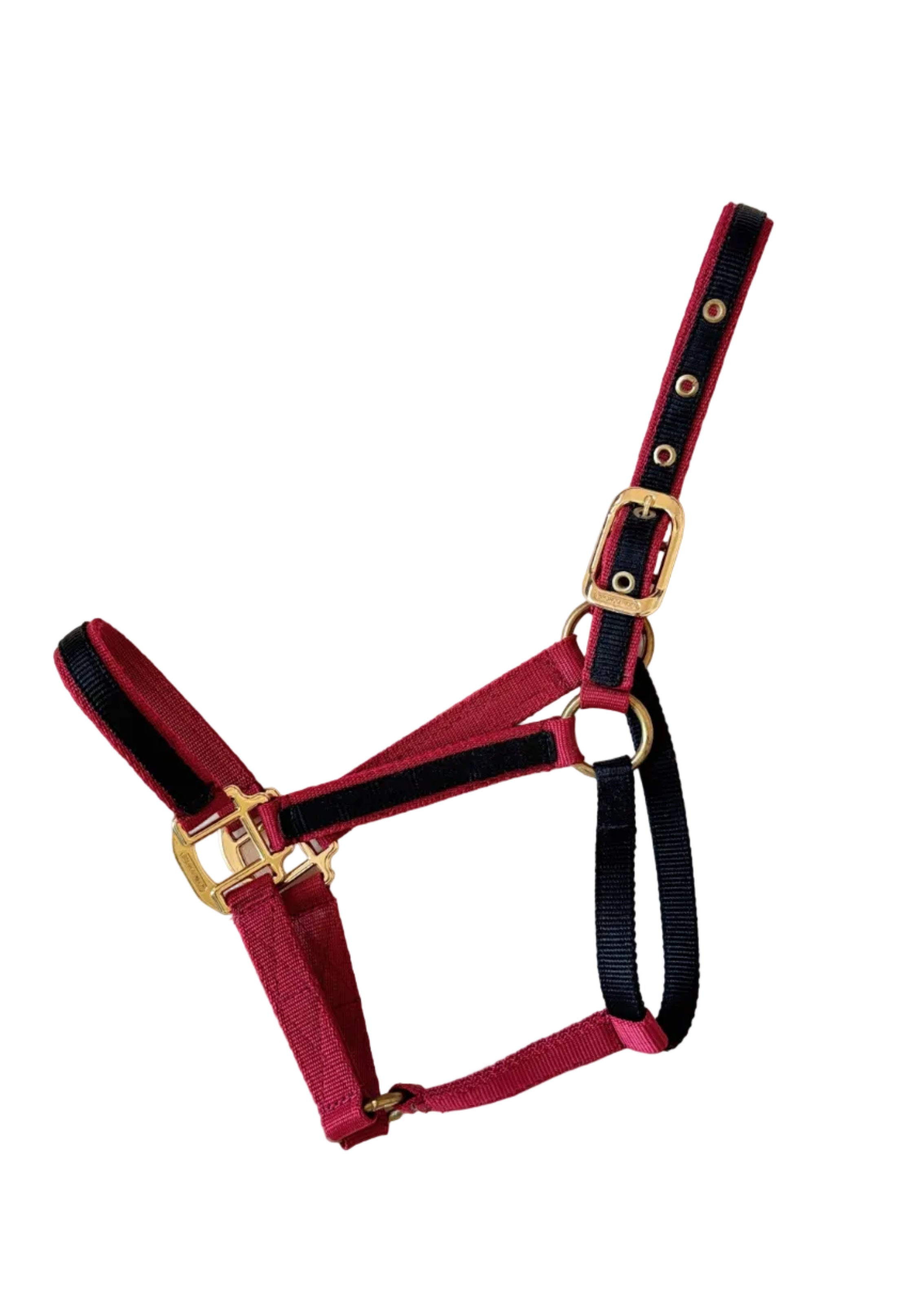 Bronco Rider - Almartigón Nailon