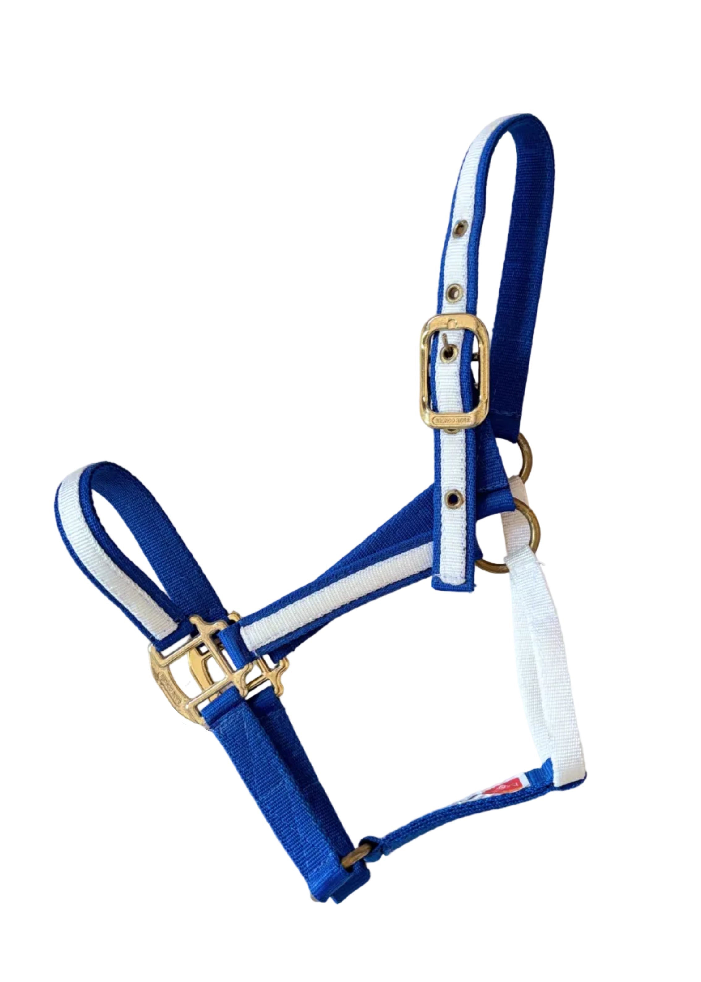 Bronco Rider - Almartigón Nailon