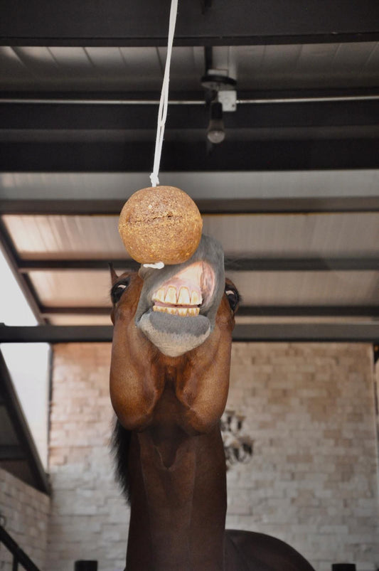 Equinolik - Ball
