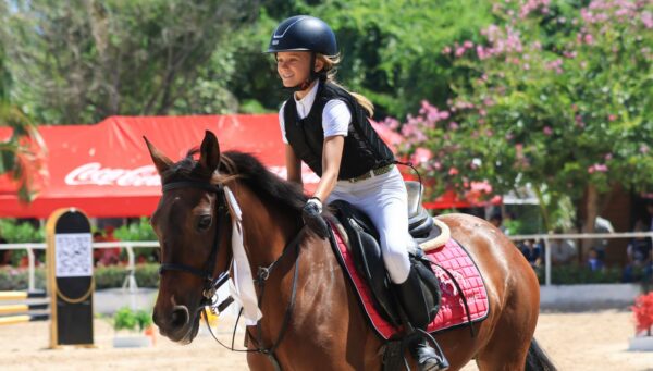 Maya Equine Equestrian Accessories