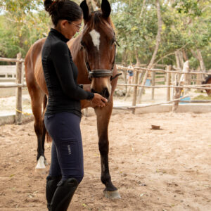 Adara Equestrian Leggings Santorini